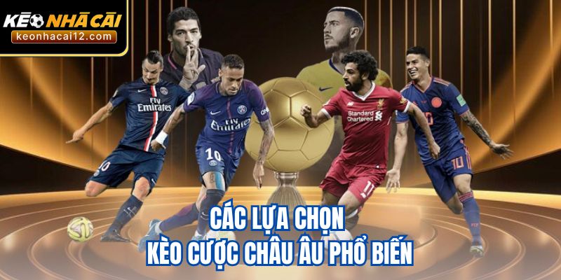 Các lựa chọn kèo cược Châu Âu phổ biến
