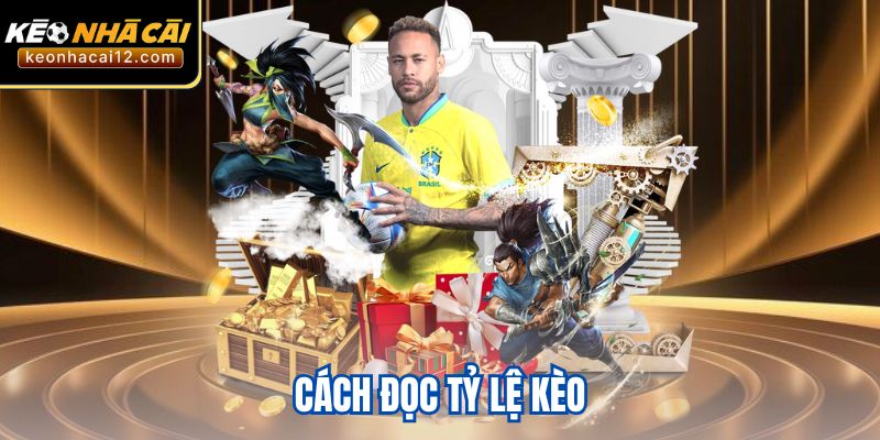 Cách Đọc Tỷ Lệ Kèo Chi Tiết, Dễ Hiểu Cho Người Mới Bắt Đầu