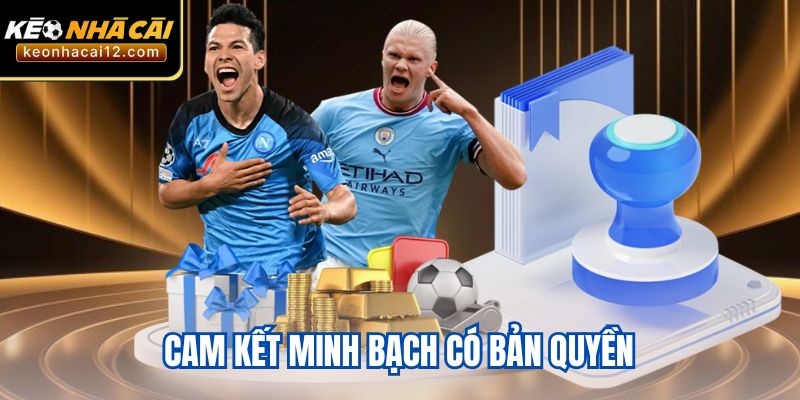 Cam kết minh bạch có bản quyền