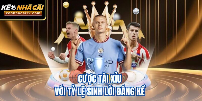 Cược tài xỉu với tỷ lệ sinh lời đáng kể