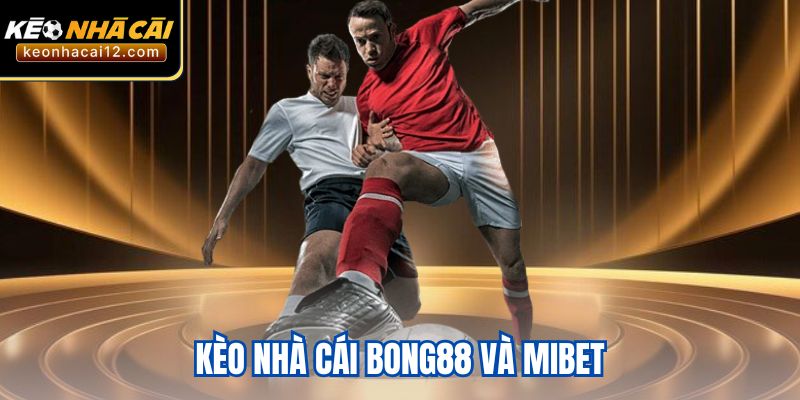 Kèo Nhà Cái Bong88 Và Mibet - Đánh Giá Ưu Điểm Nổi Bật