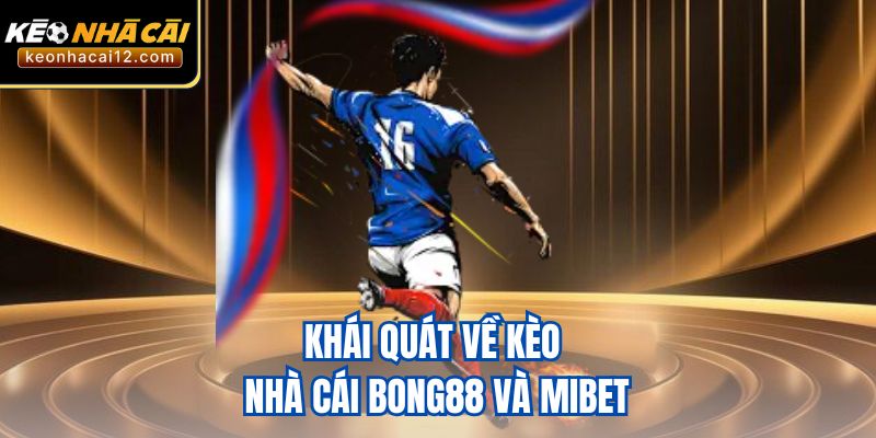 Khái quát về kèo nhà cái bong88 và mibet
