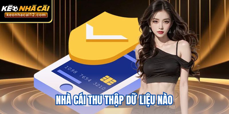 Nhà cái thu thập dữ liệu nào