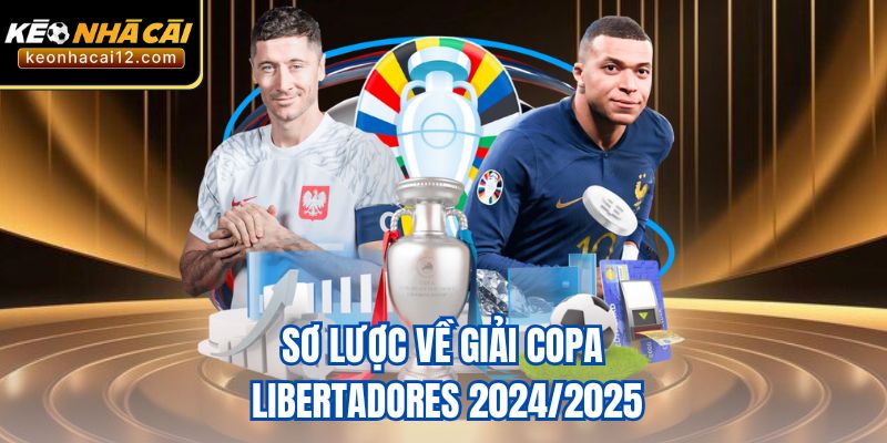 Sơ lược về giải Copa Libertadores 2024/2025