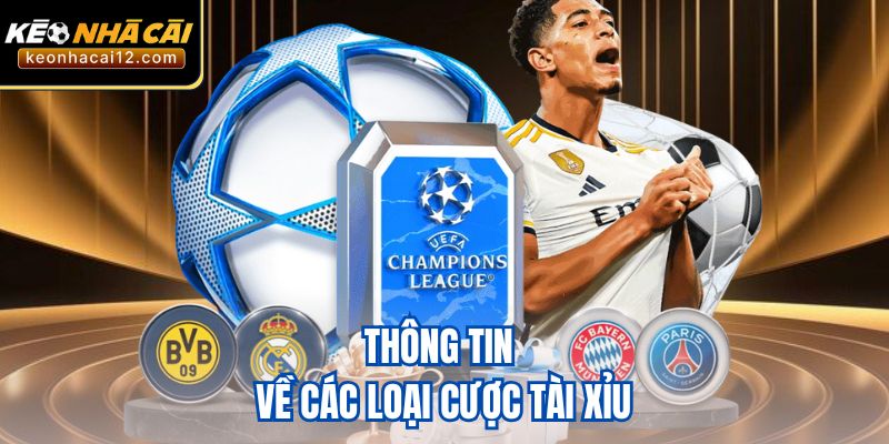 Thông tin về các loại cược tài xỉu