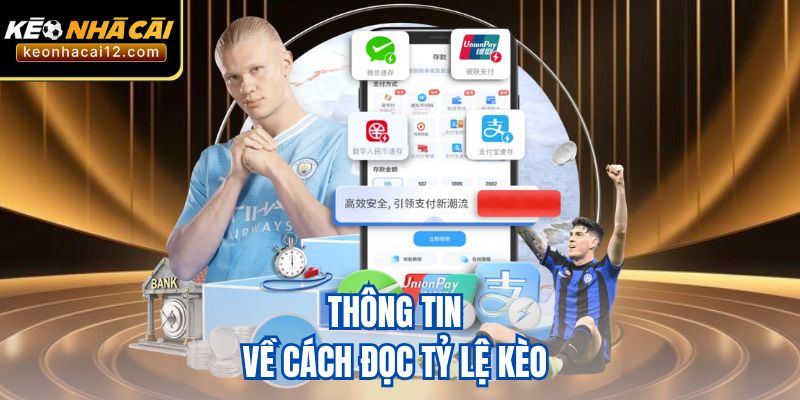Thông tin về cách đọc tỷ lệ kèo