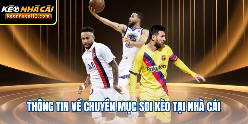 Thông tin về chuyên mục soi kèo tại nhà cái